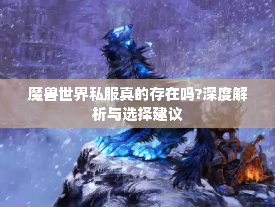 魔兽世界私服真的存在吗?深度解析与选择建议
