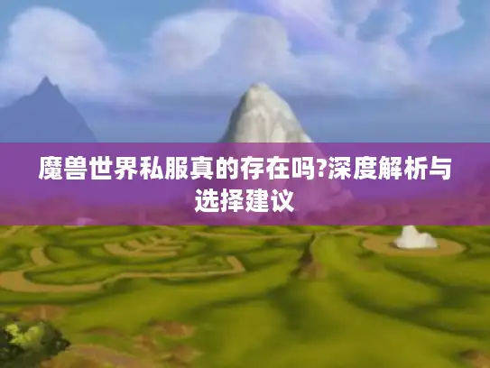 魔兽世界私服真的存在吗?深度解析与选择建议