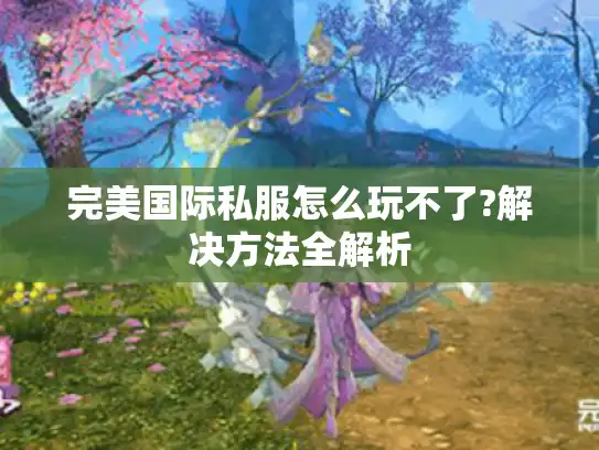 完美国际私服怎么玩不了?解决方法全解析