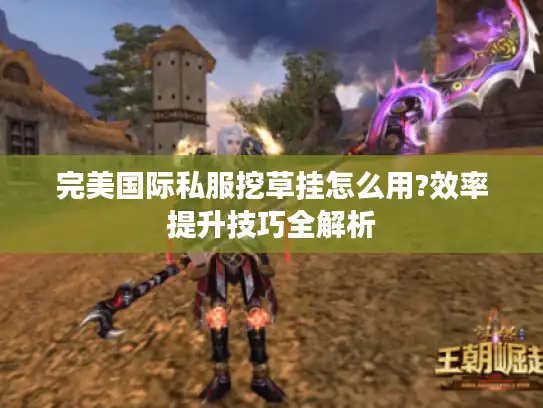 完美国际私服挖草挂怎么用?效率提升技巧全解析
