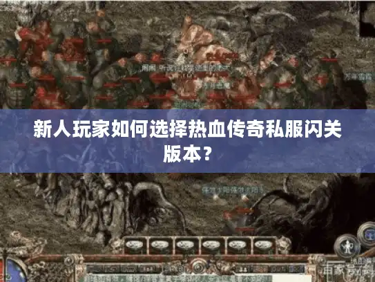 新人玩家如何选择热血传奇私服闪关版本? 新人玩家如何选择热血传奇私服闪关版本?