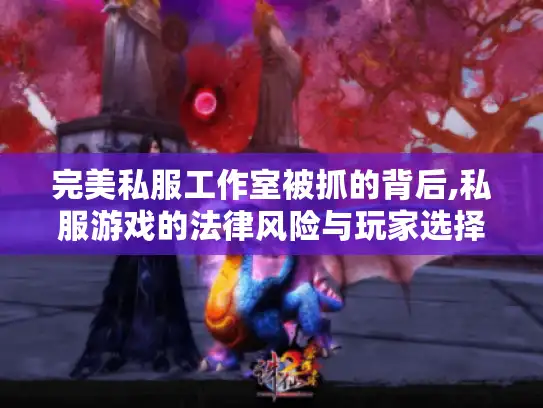 完美私服工作室被抓的背后,私服游戏的法律风险与玩家选择