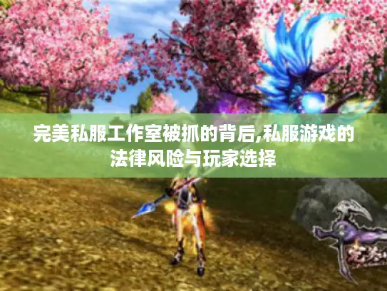 完美私服工作室被抓的背后,私服游戏的法律风险与玩家选择