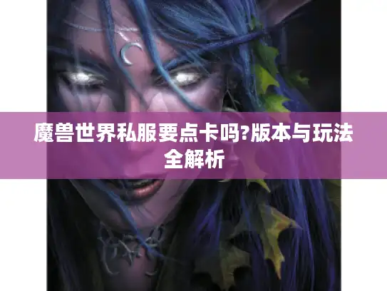 魔兽世界私服要点卡吗?版本与玩法全解析