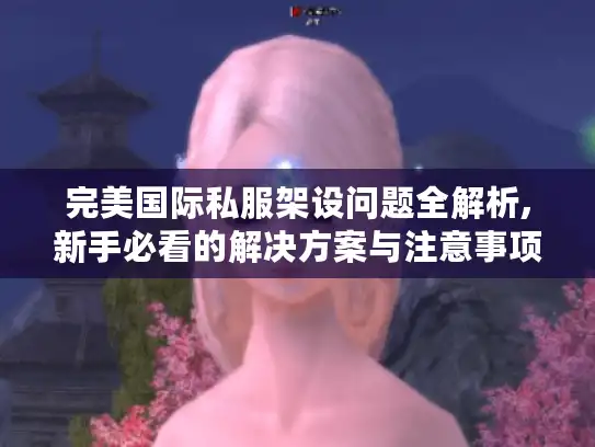完美国际私服架设问题全解析,新手必看的解决方案与注意事项