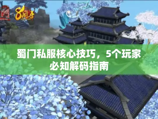蜀门私服核心技巧，5个玩家必知解码指南