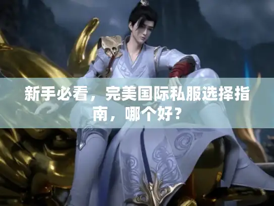 新手必看，完美国际私服选择指南，哪个好？