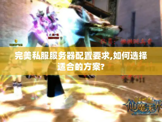 完美私服服务器配置要求,如何选择适合的方案?