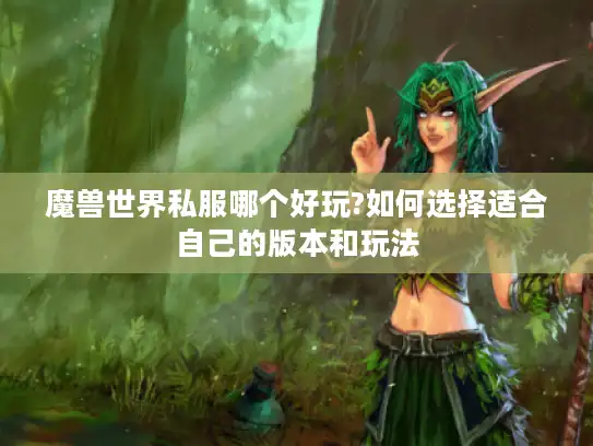 魔兽世界私服哪个好玩?如何选择适合自己的版本和玩法