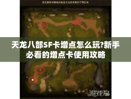 天龙八部SF卡增点怎么玩?新手必看的增点卡使用攻略