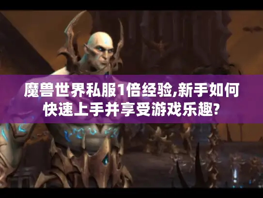 魔兽世界私服1倍经验,新手如何快速上手并享受游戏乐趣?