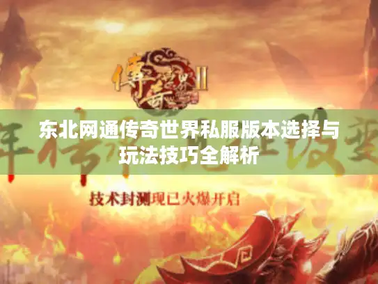 东北网通传奇世界私服版本选择与玩法技巧全解析