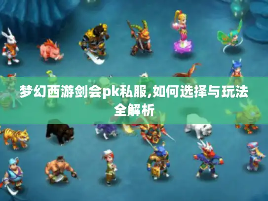 梦幻西游剑会pk私服,如何选择与玩法全解析