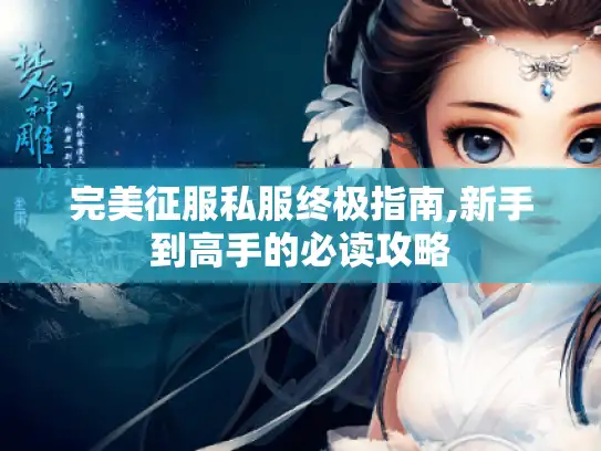 完美征服私服终极指南,新手到高手的必读攻略