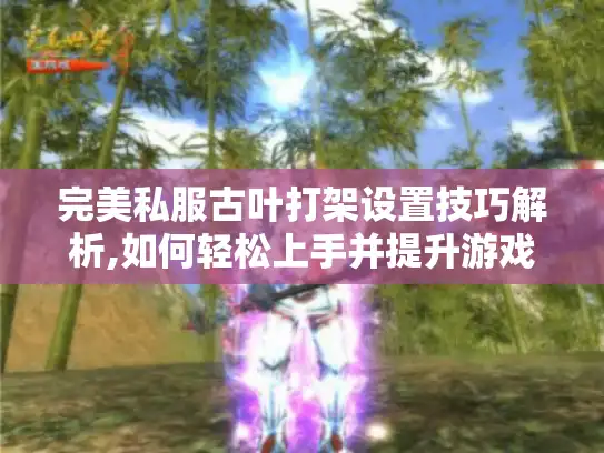 完美私服古叶打架设置技巧解析,如何轻松上手并提升游戏体验?