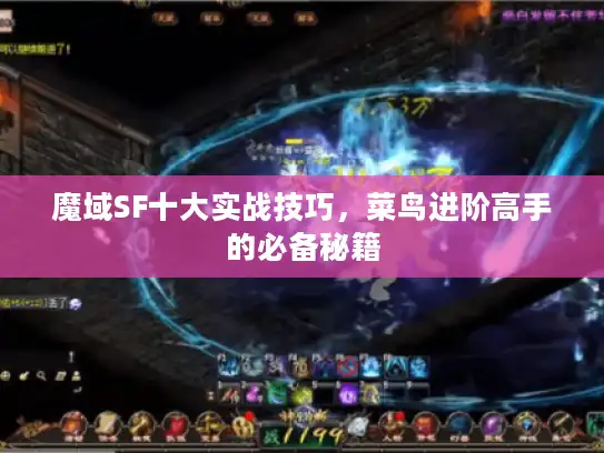 魔域SF十大实战技巧,菜鸟进阶高手的必备秘籍 魔域SF十大实战技巧,菜鸟进阶高手的必备秘籍