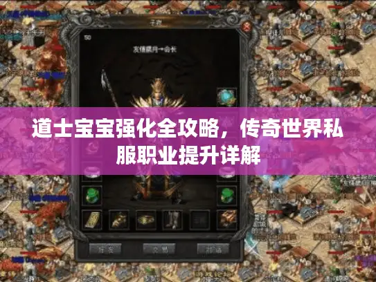 道士宝宝强化全攻略，传奇世界私服职业提升详解