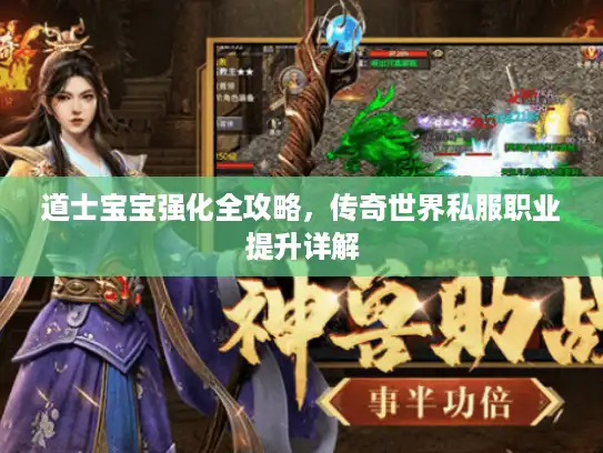 道士宝宝强化全攻略，传奇世界私服职业提升详解