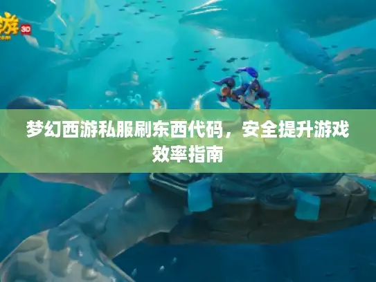 梦幻西游私服刷东西代码，安全提升游戏效率指南