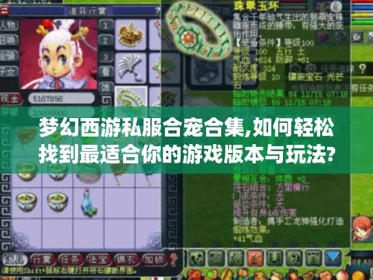 梦幻西游私服合宠合集,如何轻松找到最适合你的游戏版本与玩法?