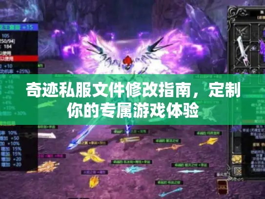 奇迹私服文件修改指南，定制你的专属游戏体验
