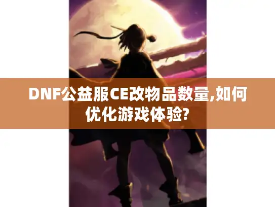 DNF公益服CE改物品数量,如何优化游戏体验?