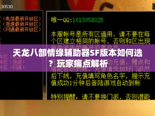 天龙八部情缘辅助器SF版本如何选?玩家痛点解析 天龙八部情缘辅助器SF版本如何选?玩家痛点解析