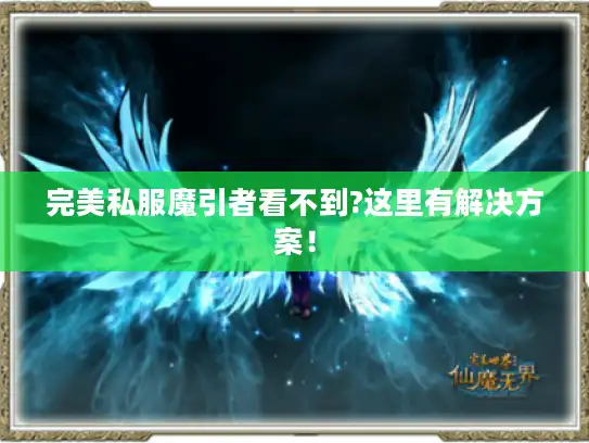 完美私服魔引者看不到?这里有解决方案！