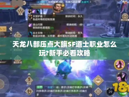 天龙八部压点大旗SF道士职业怎么玩?新手必看攻略
