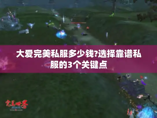 大爱完美私服多少钱?选择靠谱私服的3个关键点