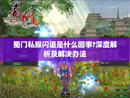 蜀门私服闪退是什么回事?深度解析及解决办法