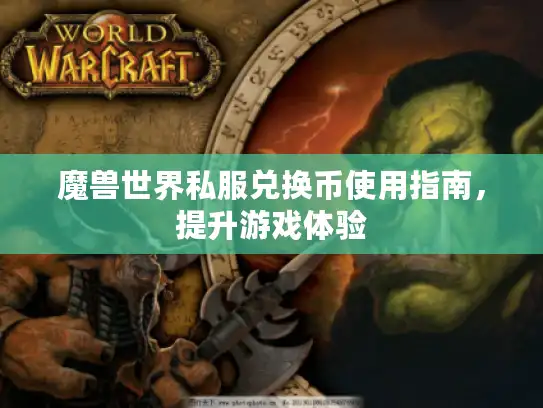 魔兽世界私服兑换币使用指南，提升游戏体验