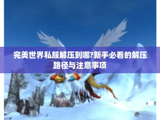 完美世界私服解压到哪?新手必看的解压路径与注意事项