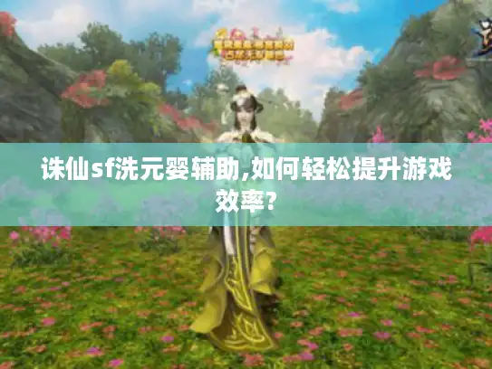 诛仙sf洗元婴辅助,如何轻松提升游戏效率?