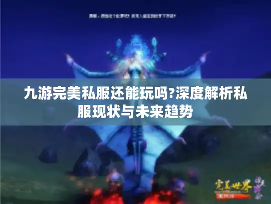 九游完美私服还能玩吗?深度解析私服现状与未来趋势