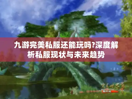九游完美私服还能玩吗?深度解析私服现状与未来趋势