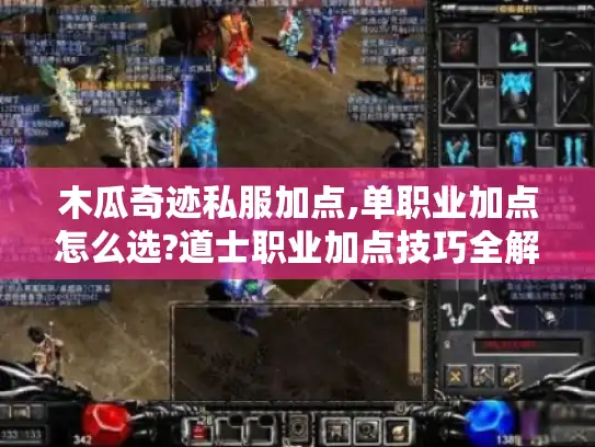 木瓜奇迹私服加点,单职业加点怎么选?道士职业加点技巧全解析