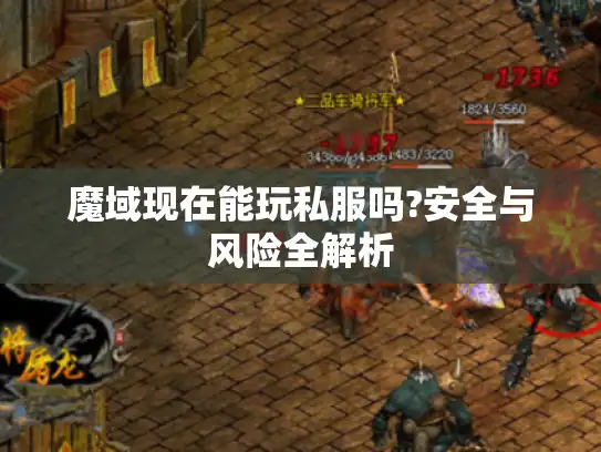 魔域现在能玩私服吗?安全与风险全解析