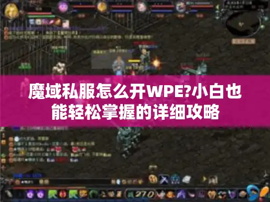 魔域私服怎么开WPE?小白也能轻松掌握的详细攻略