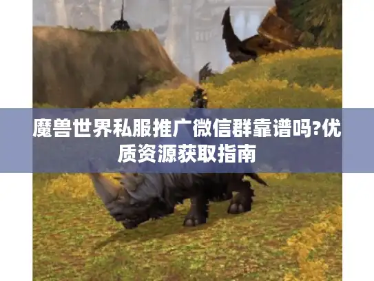 魔兽世界私服推广微信群靠谱吗?优质资源获取指南