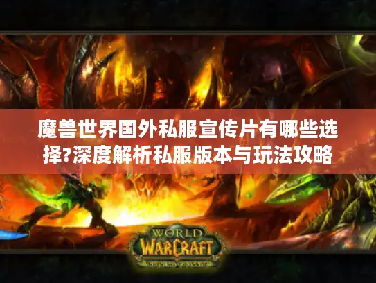魔兽世界国外私服宣传片有哪些选择?深度解析私服版本与玩法攻略