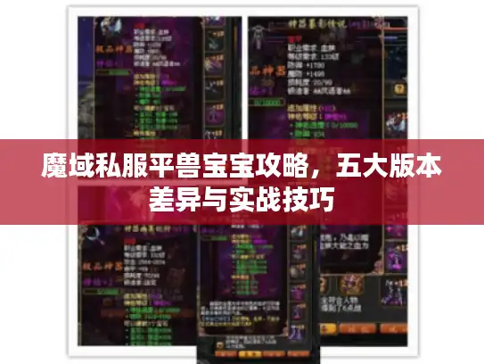 魔域私服平兽宝宝攻略,五大版本差异与实战技巧 魔域私服平兽宝宝攻略,五大版本差异与实战技巧