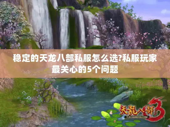 稳定的天龙八部私服怎么选?私服玩家最关心的5个问题
