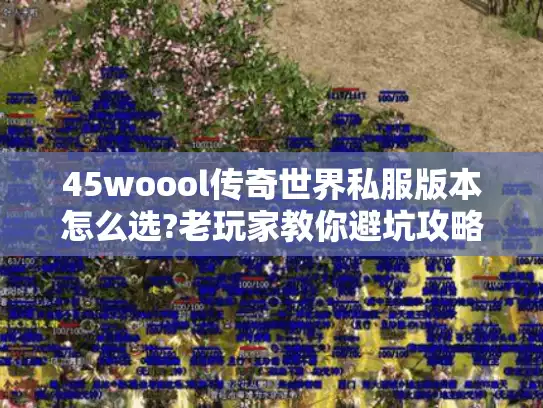 45woool传奇世界私服版本怎么选?老玩家教你避坑攻略