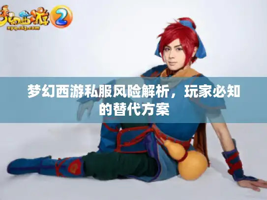 梦幻西游私服风险解析，玩家必知的替代方案