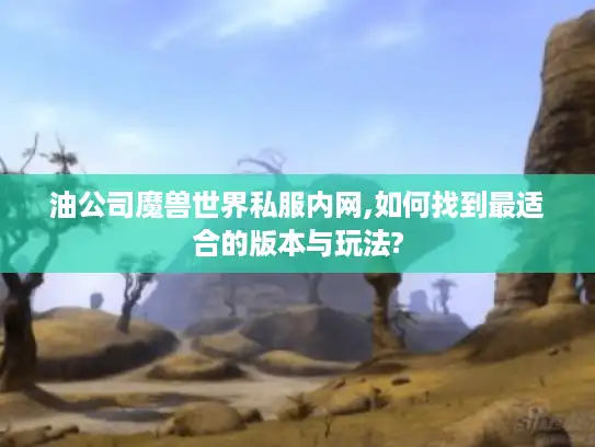油公司魔兽世界私服内网,如何找到最适合的版本与玩法?
