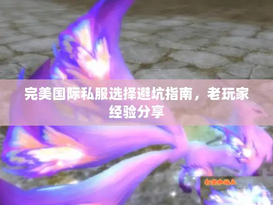 完美国际私服选择避坑指南，老玩家经验分享