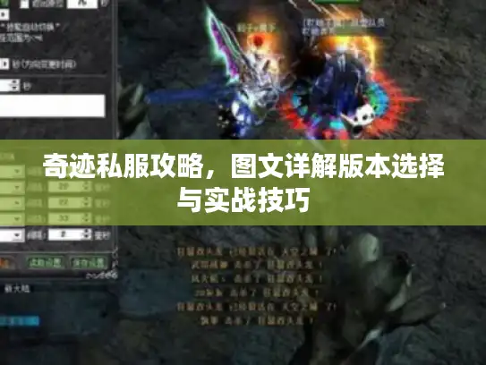 奇迹私服攻略，图文详解版本选择与实战技巧
