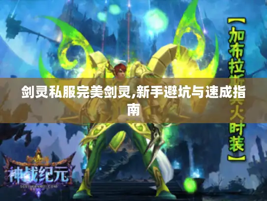 剑灵私服完美剑灵,新手避坑与速成指南