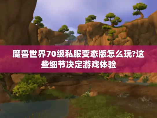 魔兽世界70级私服变态版怎么玩?这些细节决定游戏体验